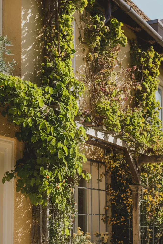 Vertical Growing Solutions